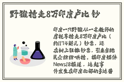 八戒八戒神马在线影院